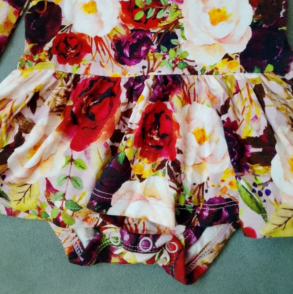 Posh Peanut 3-6 Months Floral Rose Twirl Skirt Infant Bodysuit Dress Long Sleeve - Picture 3 of 10